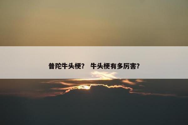 普陀牛头梗？ 牛头梗有多厉害？