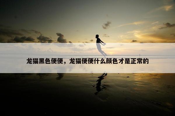 龙猫黑色便便，龙猫便便什么颜色才是正常的