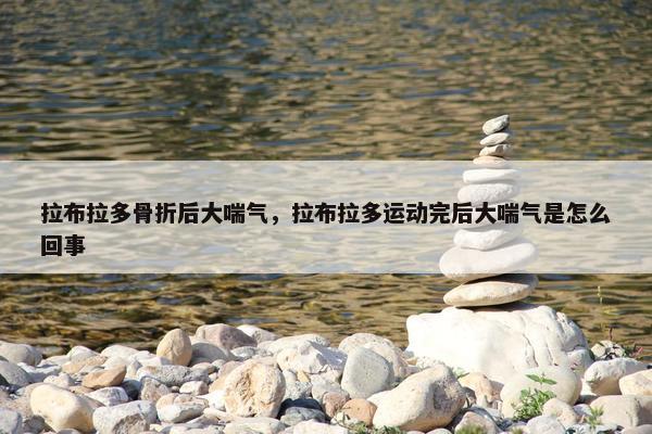 拉布拉多骨折后大喘气，拉布拉多运动完后大喘气是怎么回事