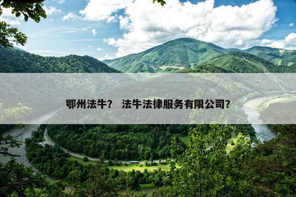 鄂州法牛？ 法牛法律服务有限公司？