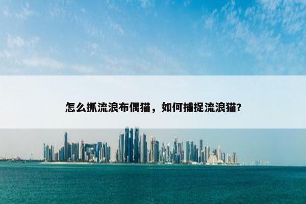 怎么抓流浪布偶猫，如何捕捉流浪猫?