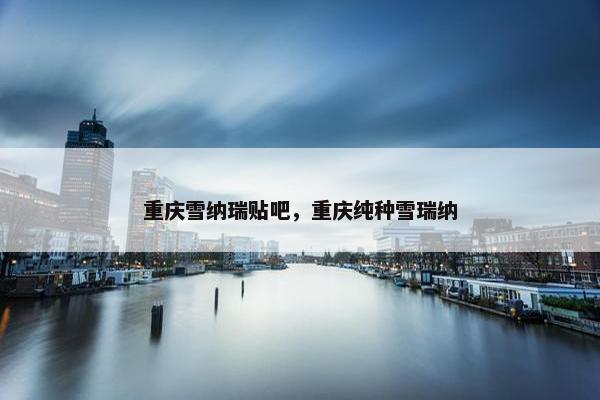 重庆雪纳瑞贴吧，重庆纯种雪瑞纳
