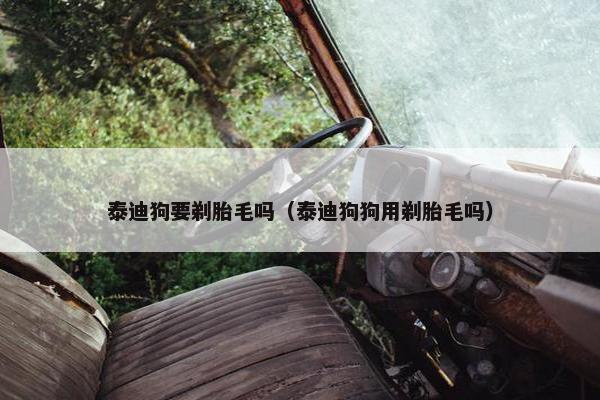 泰迪狗要剃胎毛吗（泰迪狗狗用剃胎毛吗）