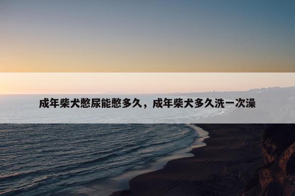 成年柴犬憋尿能憋多久，成年柴犬多久洗一次澡