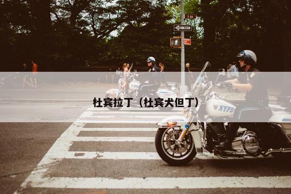 杜宾拉丁（杜宾犬但丁）