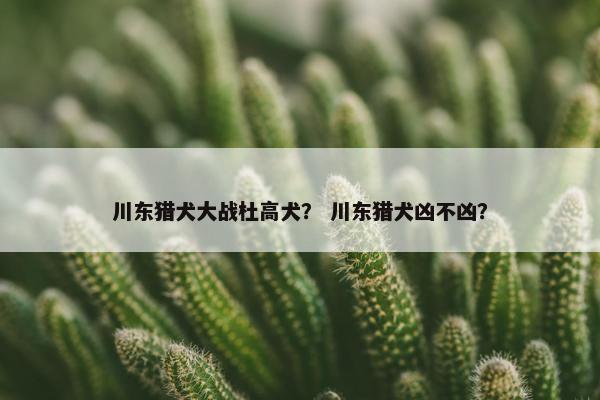 川东猎犬大战杜高犬？ 川东猎犬凶不凶？