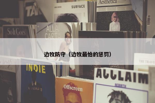 边牧防守（边牧最怕的惩罚）