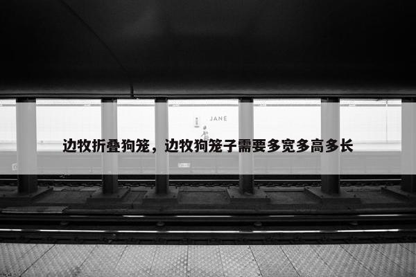 边牧折叠狗笼，边牧狗笼子需要多宽多高多长