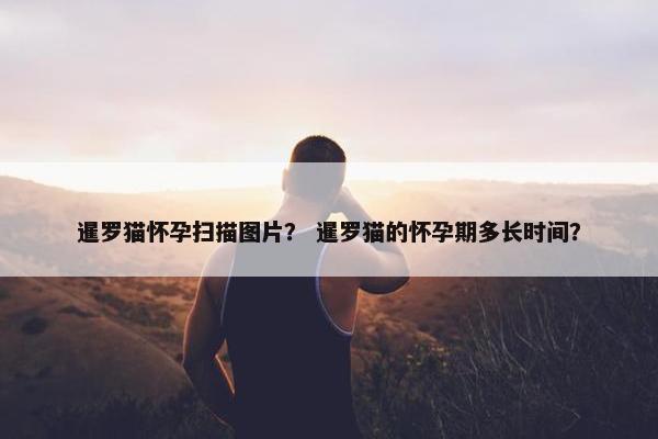 暹罗猫怀孕扫描图片？ 暹罗猫的怀孕期多长时间？