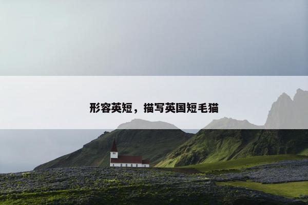 形容英短，描写英国短毛猫