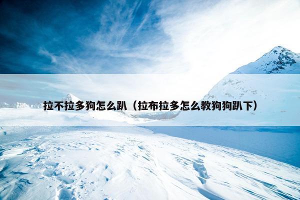 拉不拉多狗怎么趴（拉布拉多怎么教狗狗趴下）