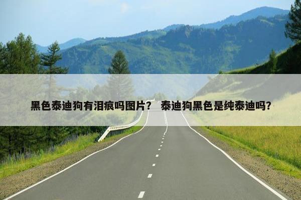黑色泰迪狗有泪痕吗图片？ 泰迪狗黑色是纯泰迪吗？