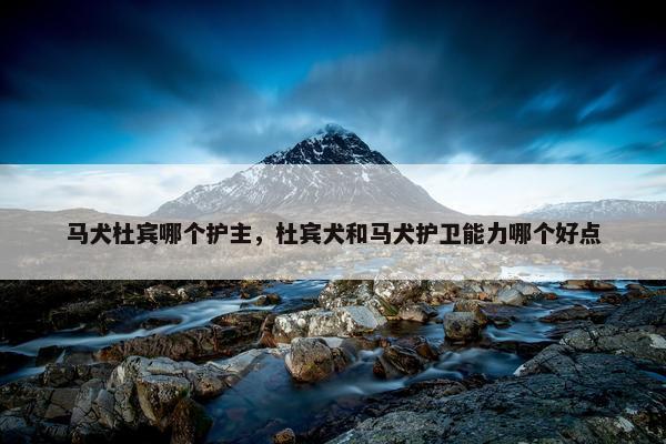 马犬杜宾哪个护主，杜宾犬和马犬护卫能力哪个好点