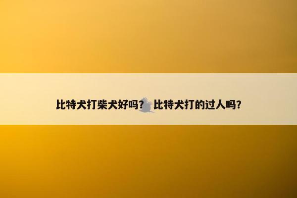 比特犬打柴犬好吗？ 比特犬打的过人吗？