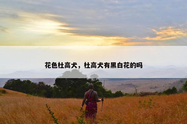 花色杜高犬，杜高犬有黑白花的吗