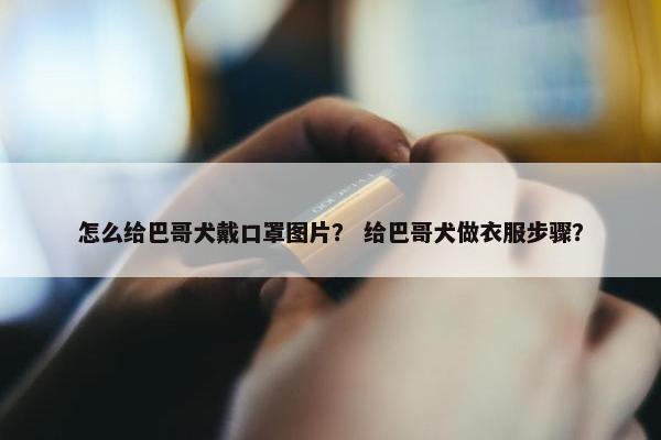 怎么给巴哥犬戴口罩图片？ 给巴哥犬做衣服步骤？