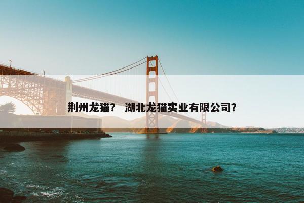 荆州龙猫？ 湖北龙猫实业有限公司？