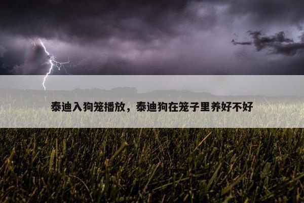 泰迪入狗笼播放，泰迪狗在笼子里养好不好