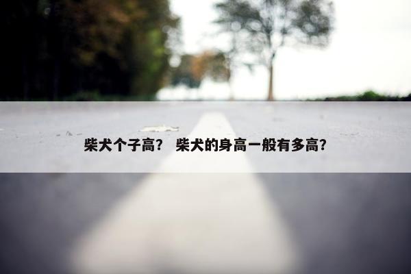 柴犬个子高？ 柴犬的身高一般有多高？