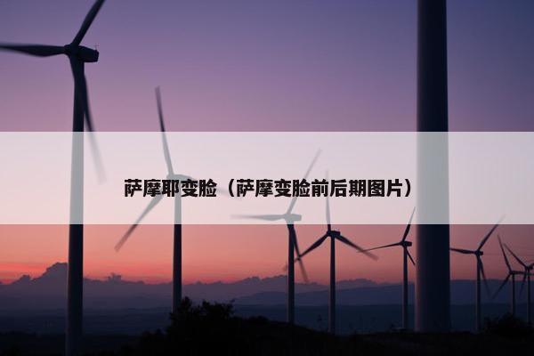 萨摩耶变脸（萨摩变脸前后期图片）