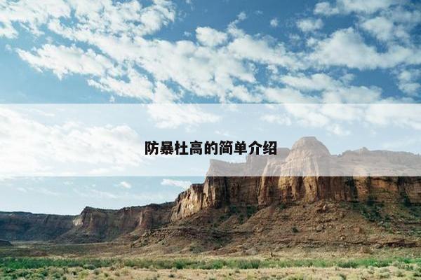 防暴杜高的简单介绍