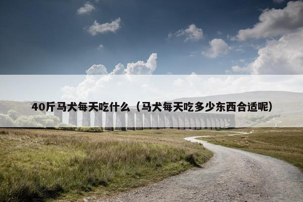 40斤马犬每天吃什么（马犬每天吃多少东西合适呢）
