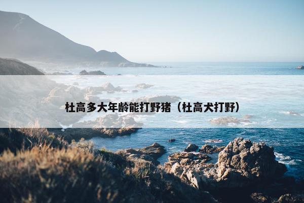 杜高多大年龄能打野猪（杜高犬打野）