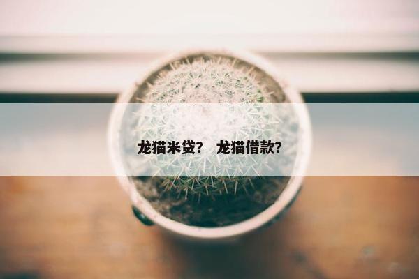龙猫米贷？ 龙猫借款？