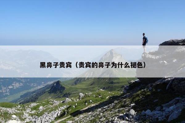 黑鼻子贵宾（贵宾的鼻子为什么褪色）