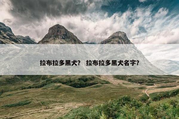 拉布拉多黑犬？ 拉布拉多黑犬名字？