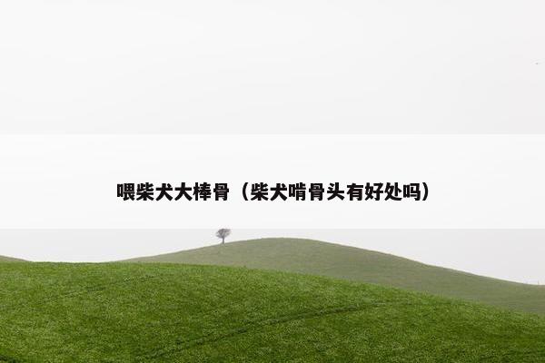 喂柴犬大棒骨（柴犬啃骨头有好处吗）
