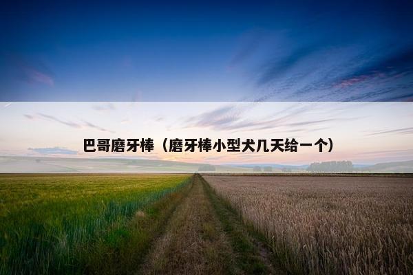 巴哥磨牙棒（磨牙棒小型犬几天给一个）