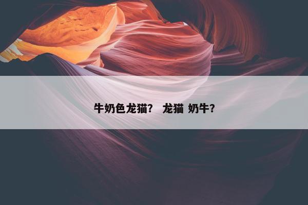 牛奶色龙猫？ 龙猫 奶牛？