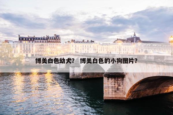 博美白色幼犬？ 博美白色的小狗图片？