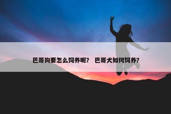 巴哥狗要怎么饲养呢？ 巴哥犬如何饲养？