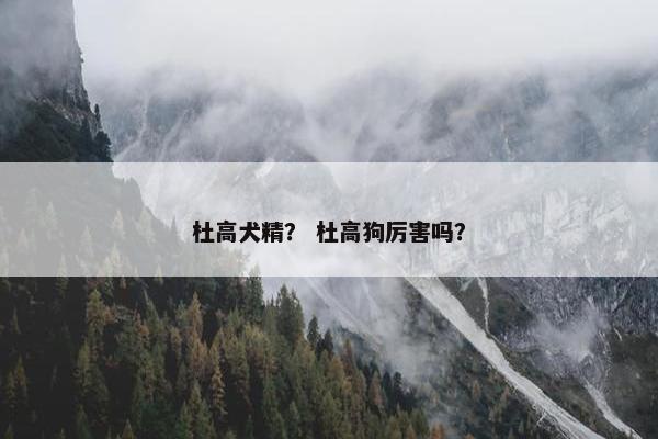 杜高犬精？ 杜高狗厉害吗？