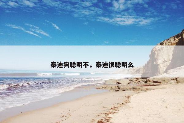 泰迪狗聪明不，泰迪很聪明么