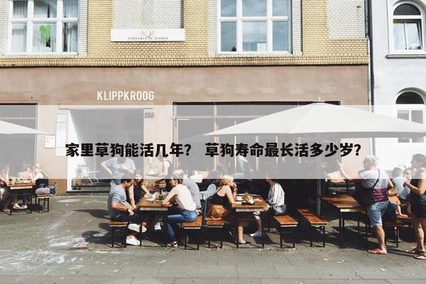 家里草狗能活几年？ 草狗寿命最长活多少岁？