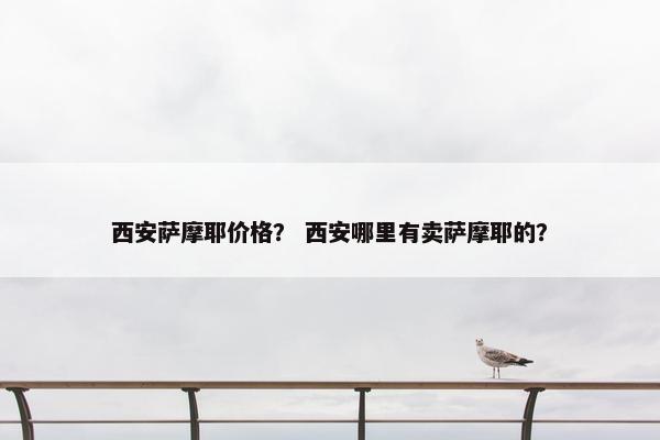 西安萨摩耶价格？ 西安哪里有卖萨摩耶的？