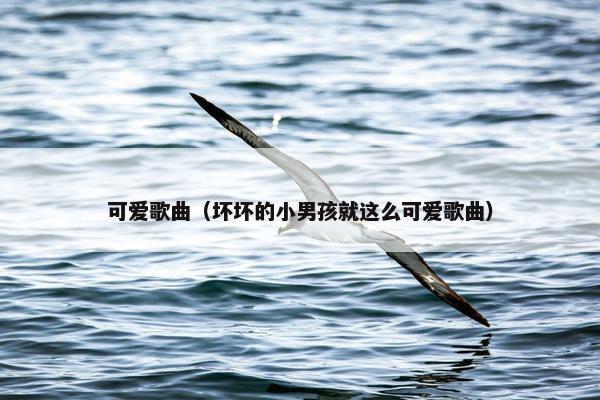 可爱歌曲（坏坏的小男孩就这么可爱歌曲）
