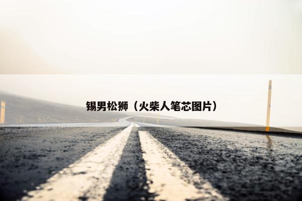锡男松狮（火柴人笔芯图片）