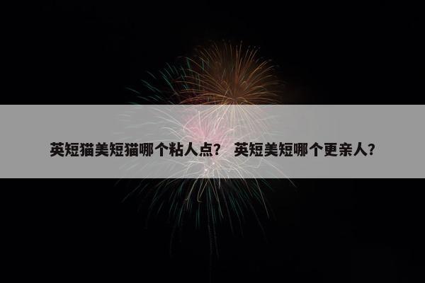 英短猫美短猫哪个粘人点？ 英短美短哪个更亲人？
