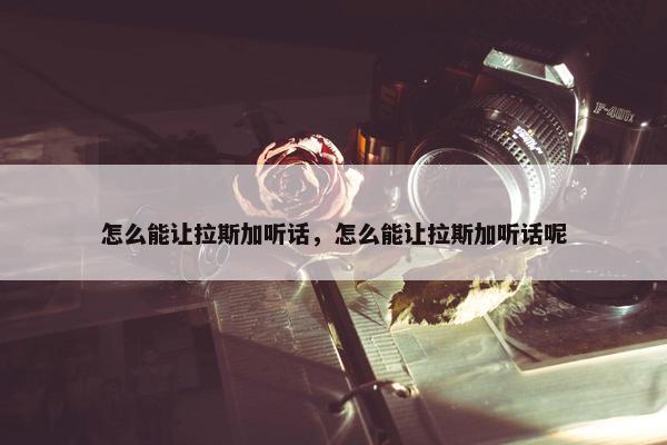 怎么能让拉斯加听话，怎么能让拉斯加听话呢