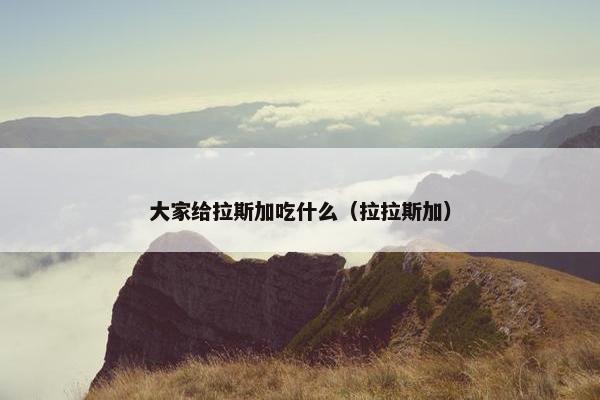 大家给拉斯加吃什么（拉拉斯加）
