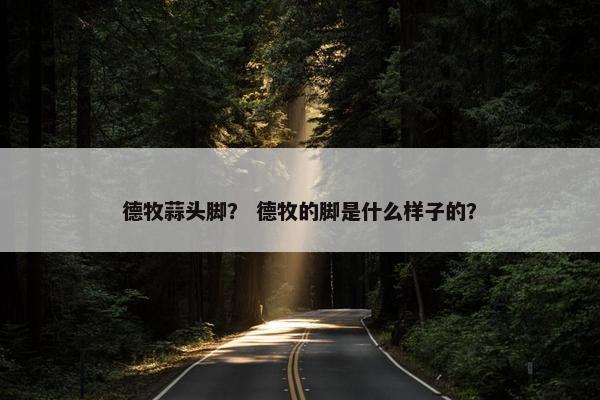 德牧蒜头脚？ 德牧的脚是什么样子的？