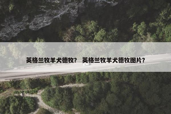 英格兰牧羊犬德牧？ 英格兰牧羊犬德牧图片？