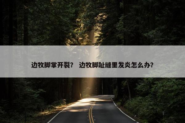 边牧脚掌开裂？ 边牧脚趾缝里发炎怎么办？