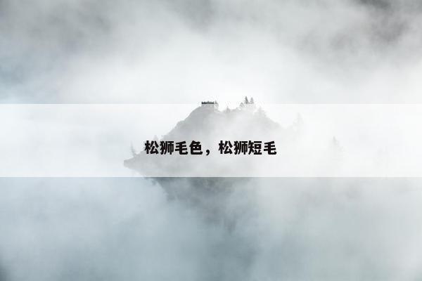 松狮毛色，松狮短毛