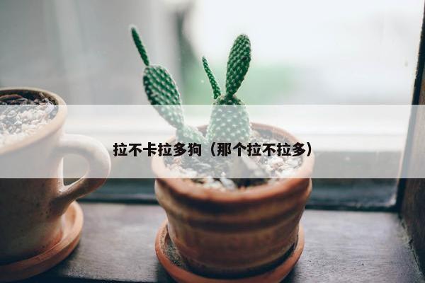 拉不卡拉多狗（那个拉不拉多）