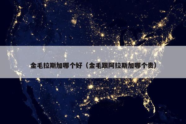 金毛拉斯加哪个好（金毛跟阿拉斯加哪个贵）